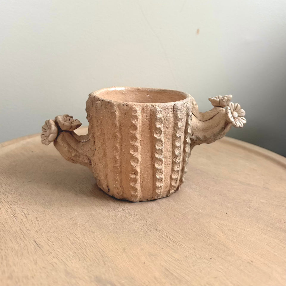 Natural Clay Cactus Flower Pot