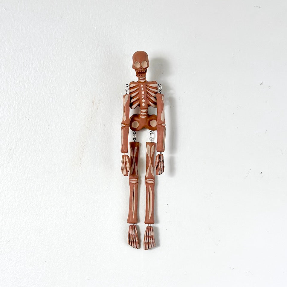 Small Two Tone Male Catrin Hanging Skeleton